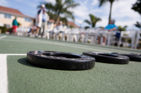 Shuffleboard Webpage Banner